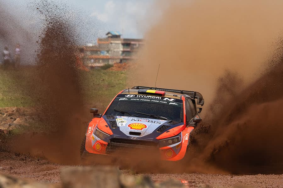 Neuville Safari 2024
