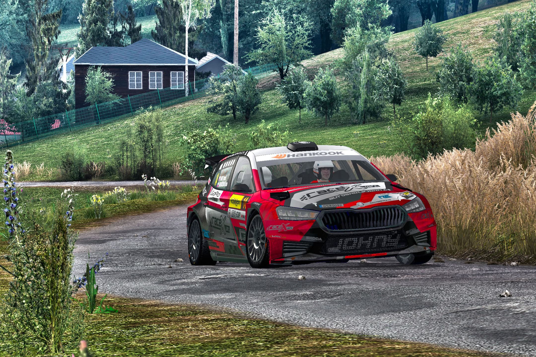 RBR RaceX Cup