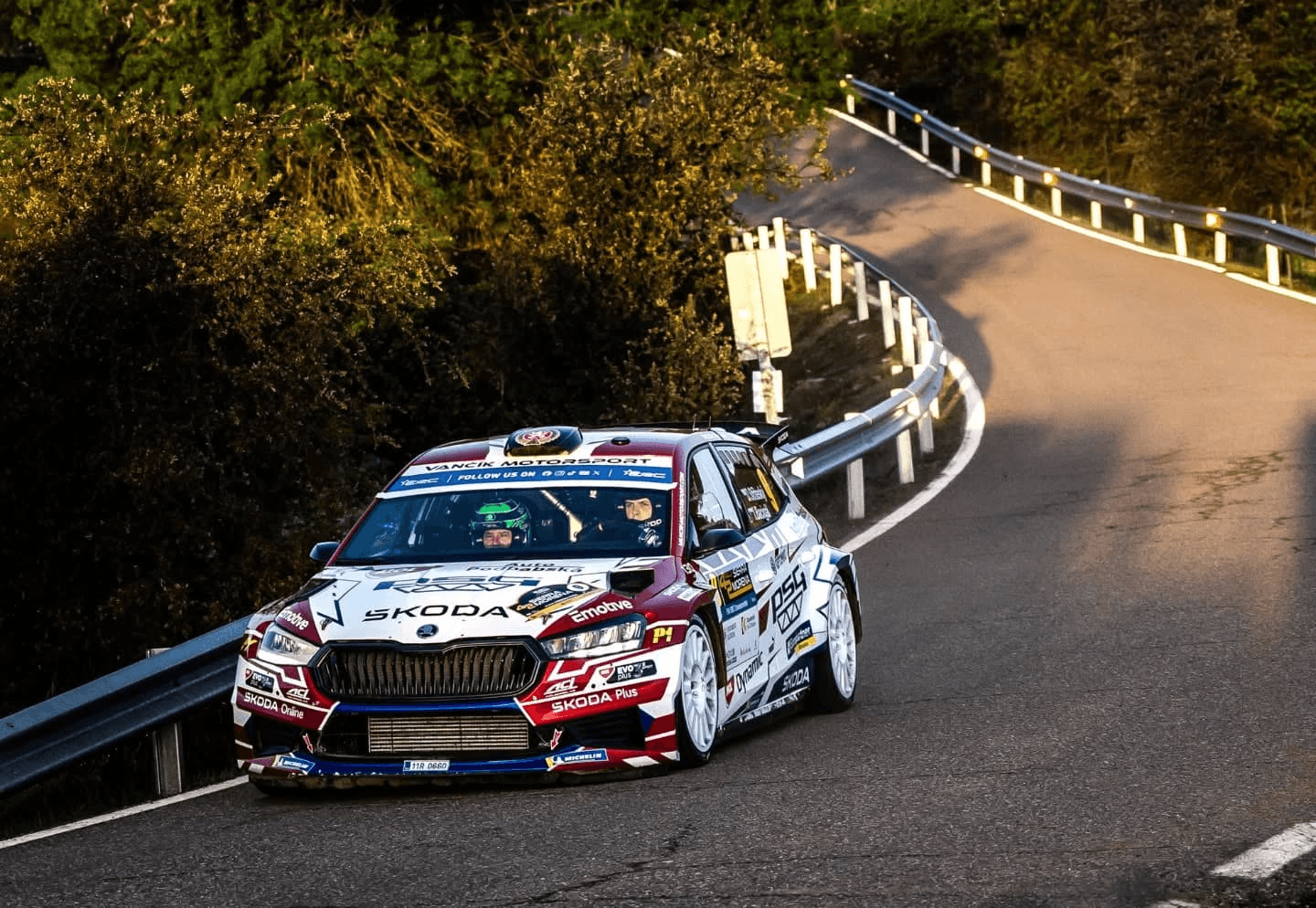 erc Stritesky