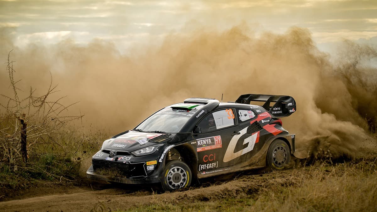 elfyn safari 24